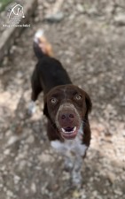 Coko
